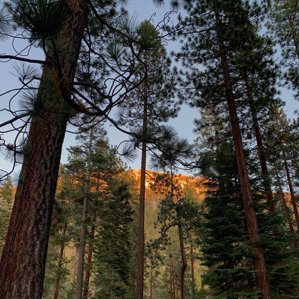 Meet your Posher, Felipe